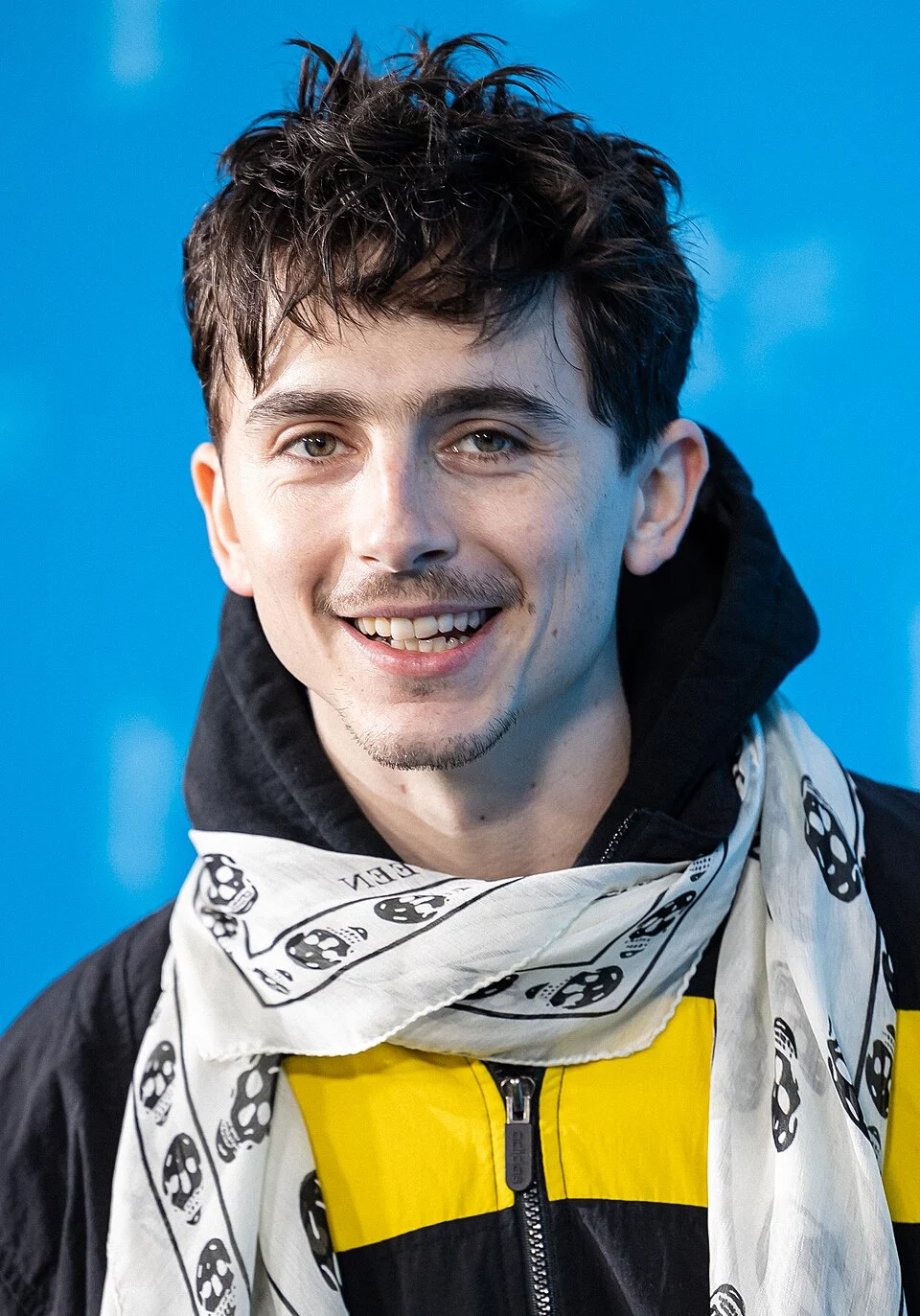 timothee chalamet net worth